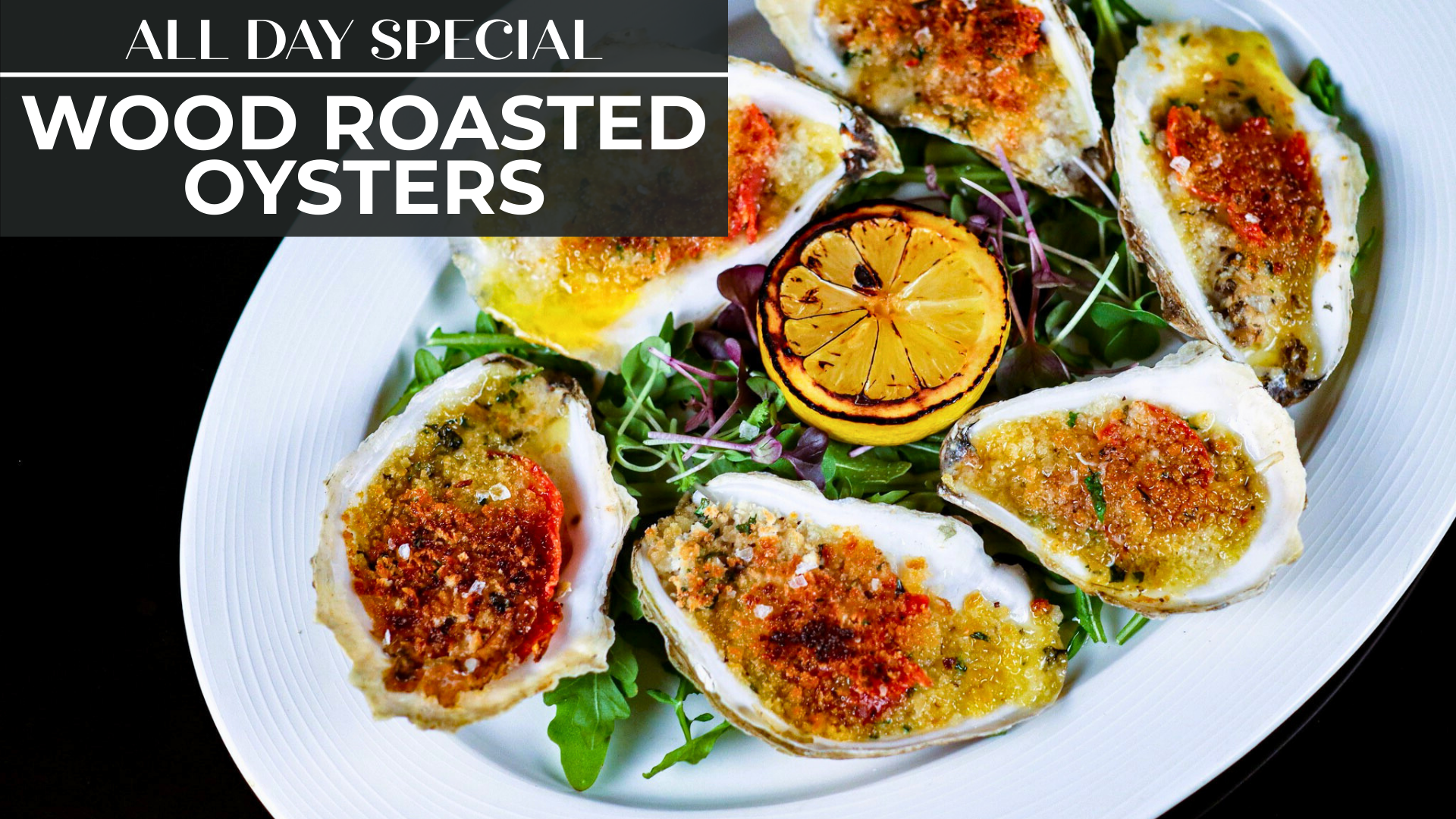 WOOD ROASTED OYSTERS